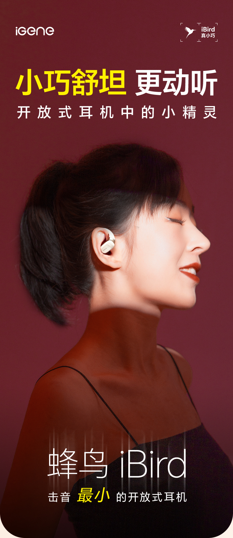 iBird_01.jpg